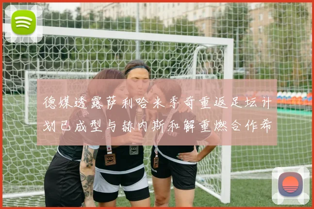 德媒透露萨利哈米季奇重返足坛计划已成型与赫内斯和解重燃合作希望