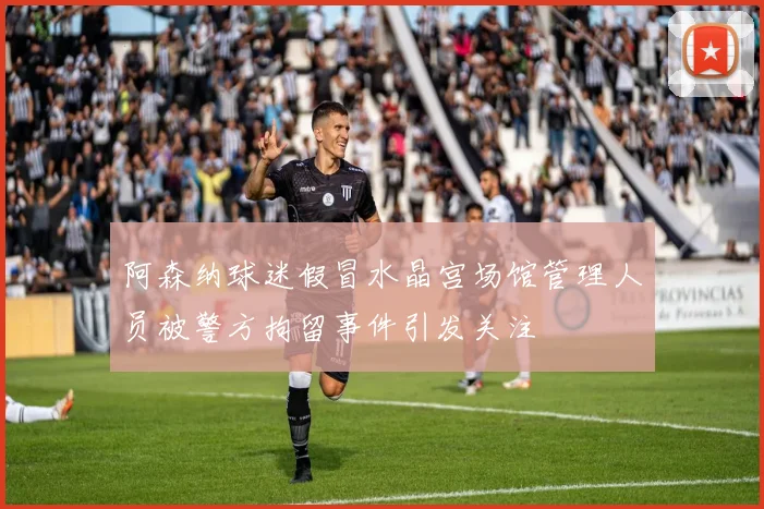阿森纳球迷假冒水晶宫场馆管理人员被警方拘留事件引发关注
