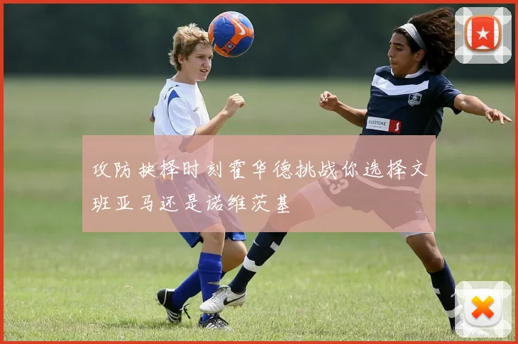 攻防抉择时刻霍华德挑战你选择文班亚马还是诺维茨基